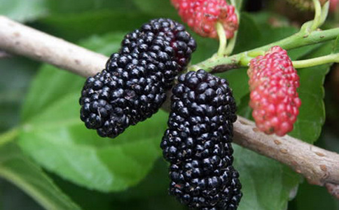 ɣ����ˮ�ȵĽ���