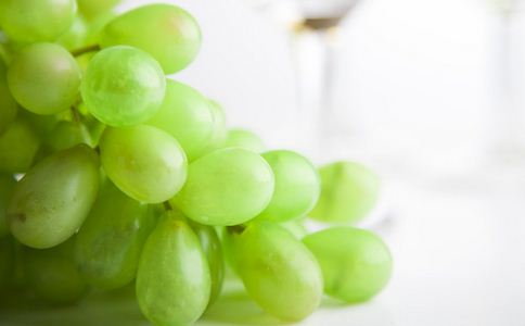 ����������������ɿ�