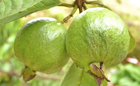 ʯ��ͷ�ʯ������Щ��ͬ