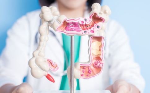 �����̴���ʲô�� �̴���ʳ����Щ����