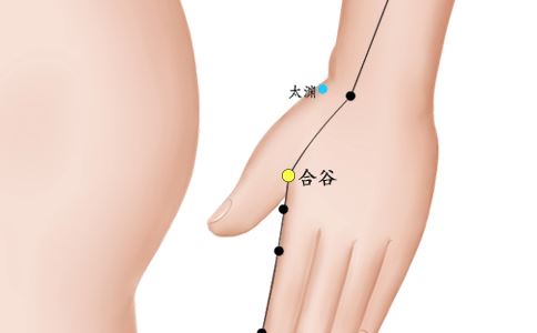 �γ���Ħ�ĸ�Ѩλ �����γ��ļ���Ѩλ