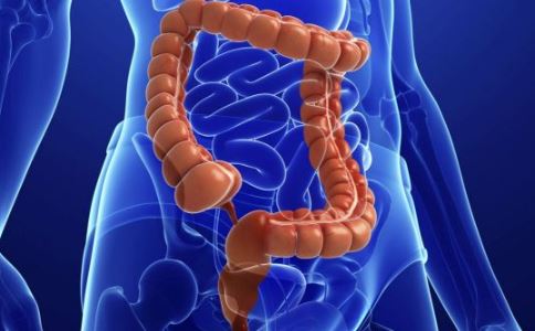 �̴�����������ʳ����ע��