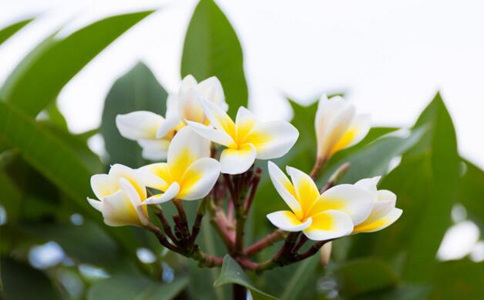 ��������ˮ�ȵĽ���