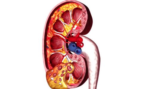 ������ʳ������֪4��ʶ