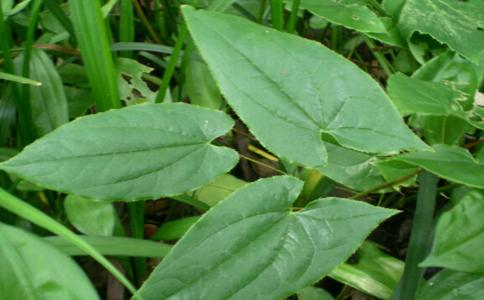 ����޽��ˮ�ȵĽ���