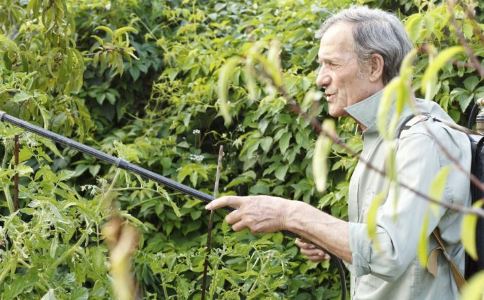 ����ɥż�����������������׶�