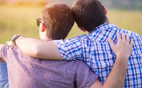 ���ǲ����Ⱦ���̲�