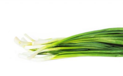 ���������� ��ͨ��˯��������