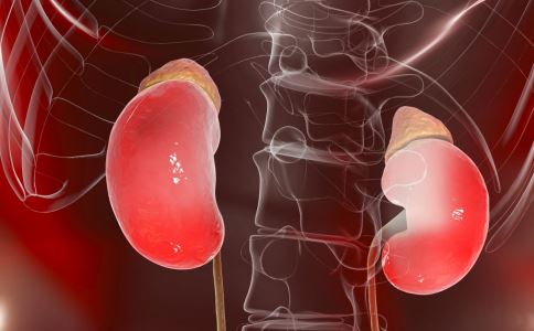 5��С�˶�������Զ������