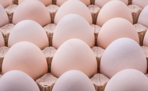 ���ʺ�Ů�˳Ե����ֵ�