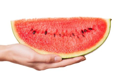 �칫����ʳ���� �����Ի����