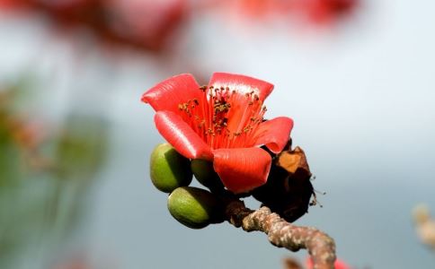 24����֮��������ʲô��