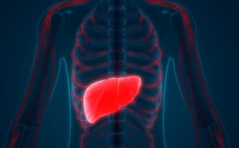 ���ױ�����Ϊ�Ҹεļ��ּ���