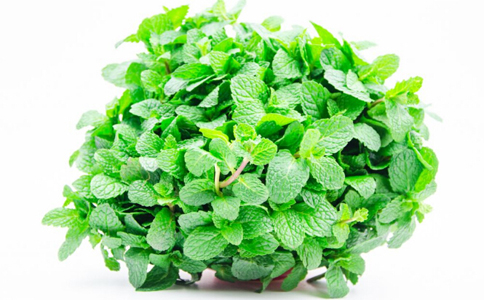 ��֪���� ��9��ֲ��������