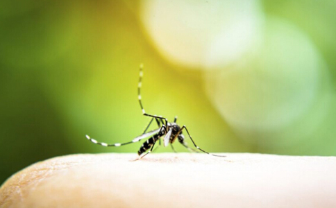 ��֪���� ��9��ֲ��������