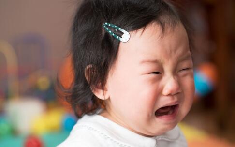 ���ӷ�����ʳע�����ĵ� ʳ�Ʒ�������������