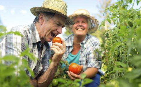 老人经常旅游 能放松心情