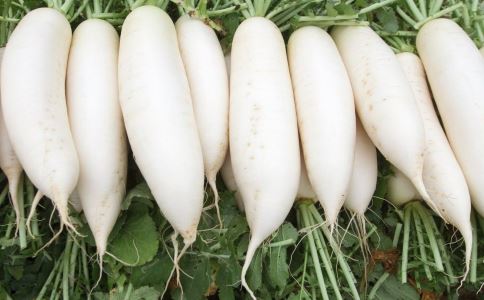 �ճ������������ʳ������Щ