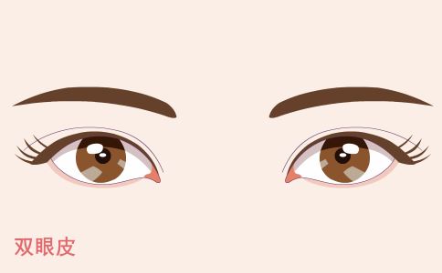 �����ѷ���Ҫֲ���𣿿�����ѡ��