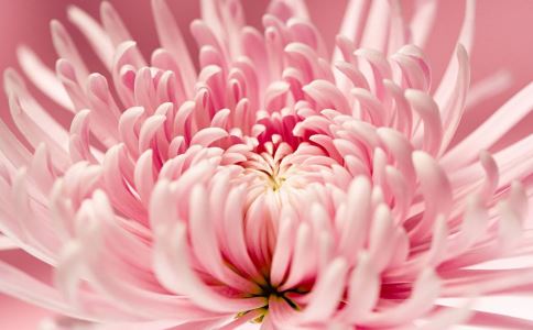 �����ٻ��� ��ͬ���ܵ�ҩ�ü�ֵ