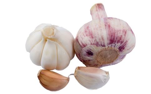 ���Ծ������ٳԵ����ǿ��ʳ��