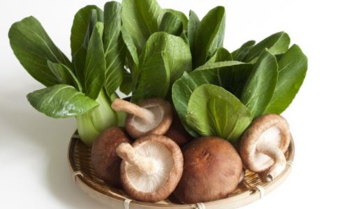 �＾���ѷ��سԵ�10��ʳ��