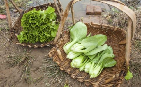 9��ʳ�����Ŷ�����