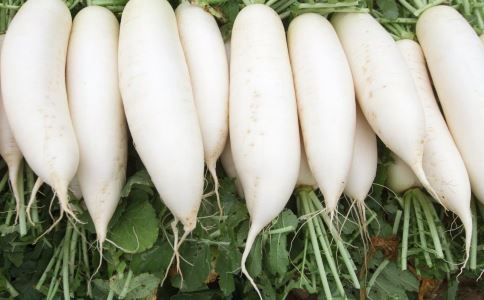 Ů�������������6��ʳ������������