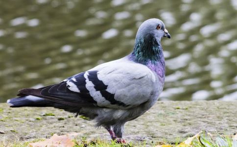 ����������Σ�� ��϶�û��ȫ֪��