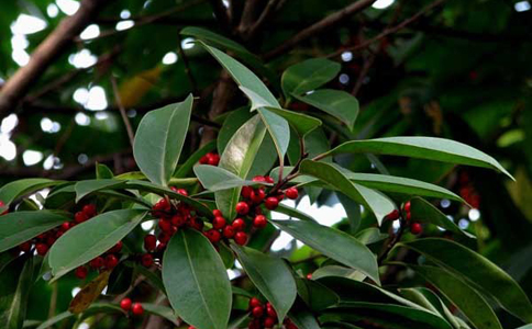 ë������ˮ�ȵĽ���