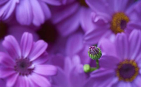 ��ξ��緢��θ��?