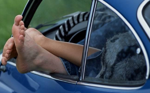 ���Ů��������������ǫ�������š���ͼ ����������ǫ����40����