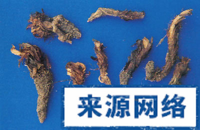 ������ҩ���ɿ�������Ƥ����