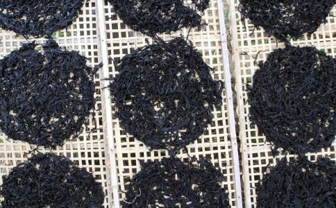 �侫���������¹���Ƶ������