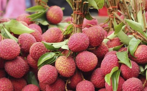 �ļ������ѡ���ʵ���֦��