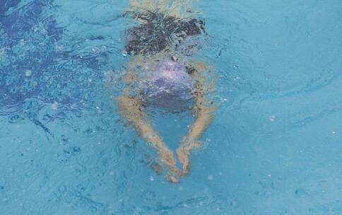 �������ư��˼�¼ժ�õ�17�� �������������