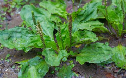 ��ǰ����ˮ�ȵĽ���