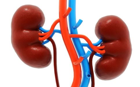 ������˥�ߵ����Ʒ���