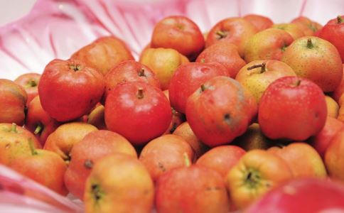 �������������� ����9��ʳ��������