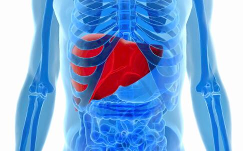 �ļ��λ�����ô�� ���10��ʳ��