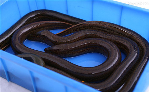 �Ի��������ߴ�ô�