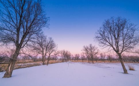 ���������ɼ��ᰩ֢��ʹ����