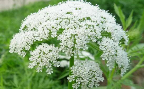 �ߴ�����ˮ�ȵĽ���