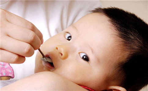 С��Ż�·��ճ�ʲô �Ƽ�����ʳ�Ʒ�