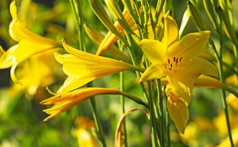 ������ʳ�ﾹȻ���ܳ����ʳ�