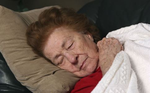 ������ʳ���ɹ��ȿ��� ���������