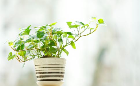 �����ʲô���� ʲô�����ܷ�����