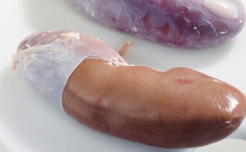 ע��!6��ɱ��ʳ����������ɵ����