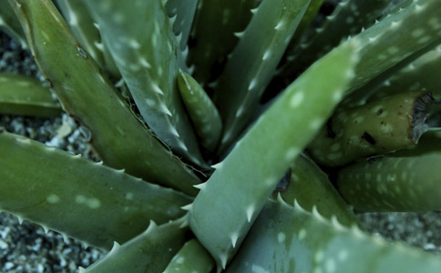 «����ˮ�ȵĽ���