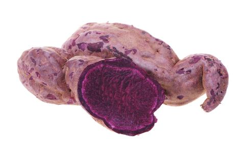 ��Ժ���������������